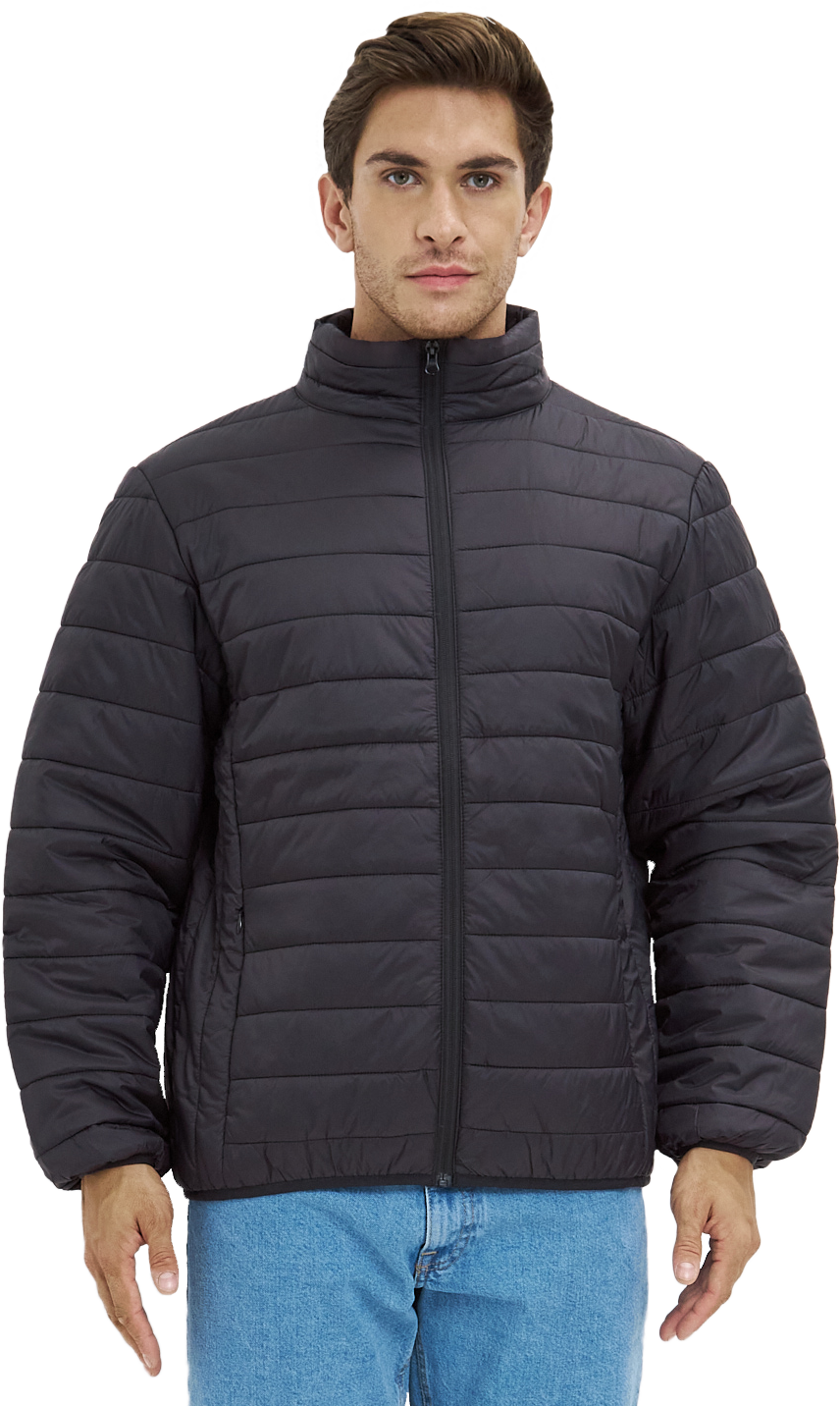 Куртка ДЕМИ стеганая, черный